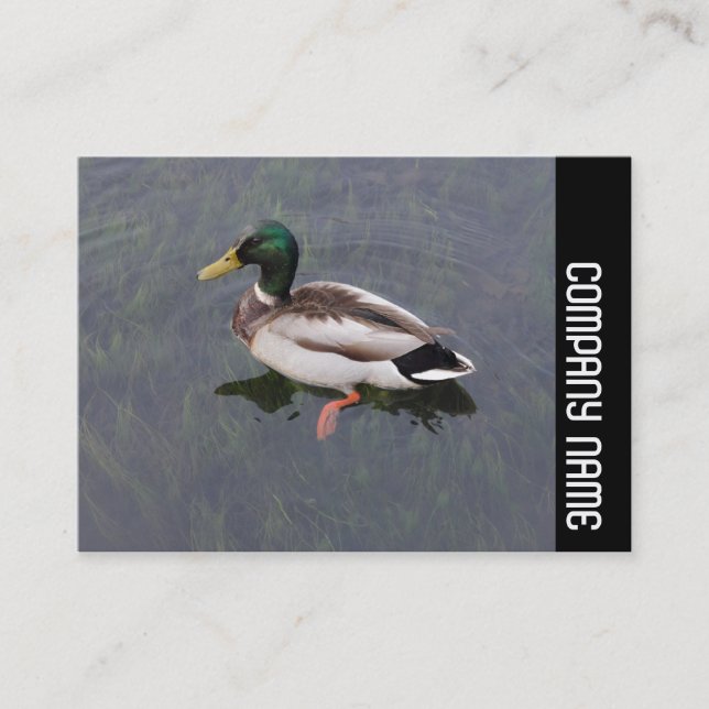 Carte De Visite Bande latérale - Mallard Duck (Devant)