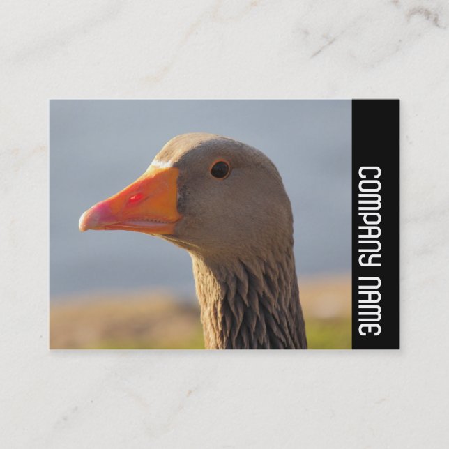 Carte De Visite Bande latérale - Oie curieuse (Devant)