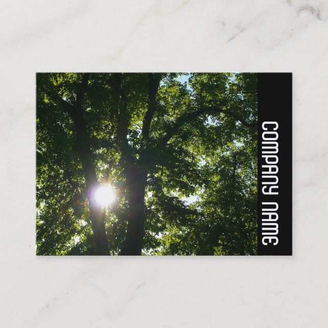 Carte De Visite Bande latérale - Soleil à travers les arbres (Devant)