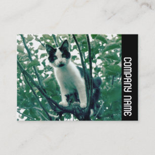 Carte De Visite Bande latérale - Superfluence de la méchanceté