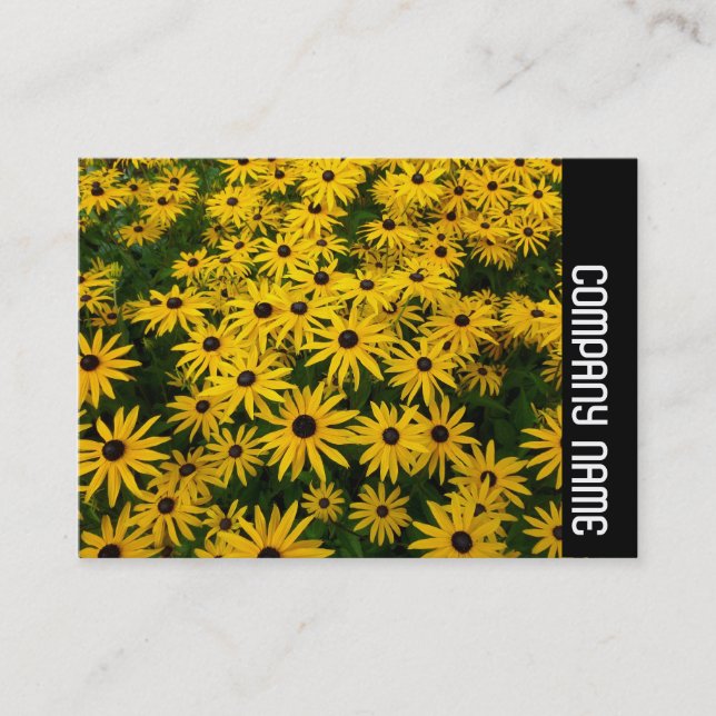 Carte De Visite Bande latérale - Susans aux yeux noirs (Rudbeckia  (Devant)