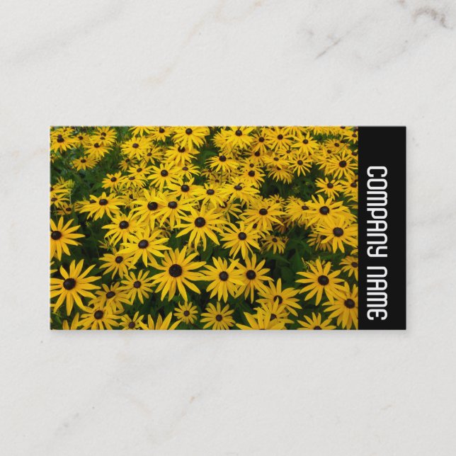 Carte De Visite Bande latérale - Susans aux yeux noirs (Rudbeckia  (Devant)
