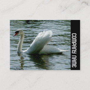 Carte De Visite Bande latérale - Swan