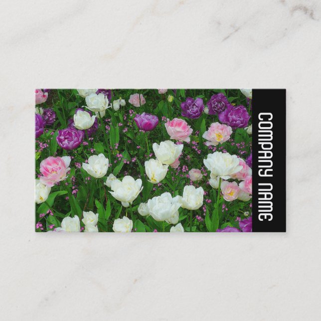 Carte De Visite Bande latérale - Tulipes colorées (Devant)