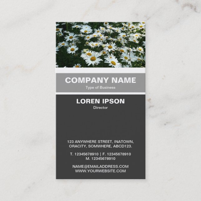 Carte De Visite Banded vertical - Casta Daisies (Devant)