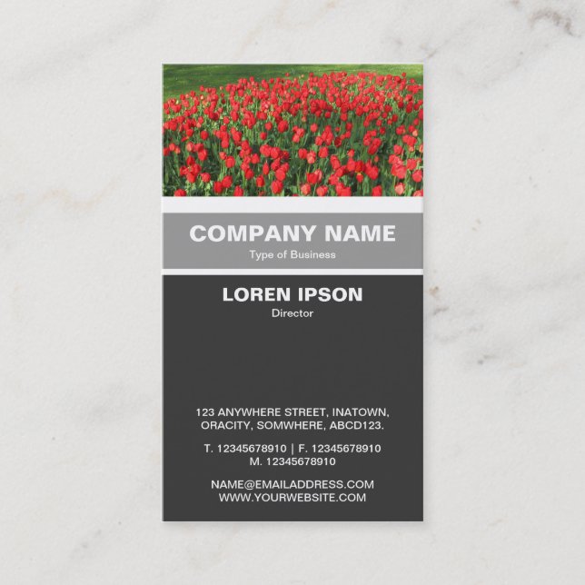 Carte De Visite Banded vertical - Lit de tulipes rouges 02 (Devant)