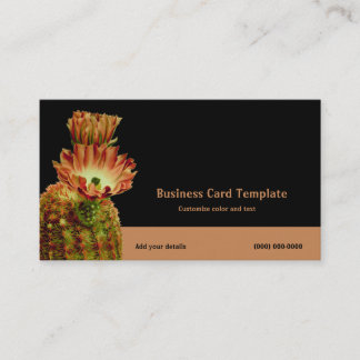 Carte De Visite Barrel Desert Arizona Cactus Fleurs