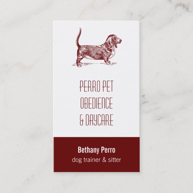 Carte De Visite Basset Hound (Devant)