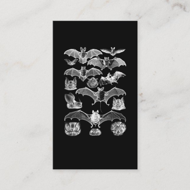 Carte De Visite Bats Night Microbat Night View Déplaisant Goth (Devant)