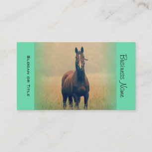 Carte De Visite Bay Horse Standing
