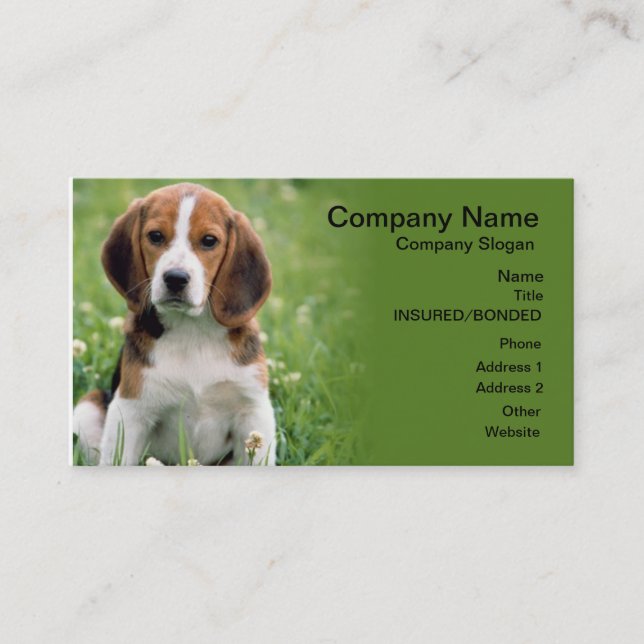 Carte de visite beagle pour animaux de compagnie a (Devant)