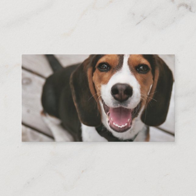 Carte De Visite Beagle_puppy assis (Devant)