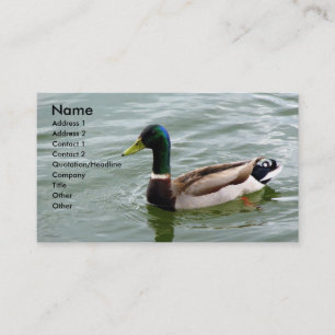 Carte De Visite Beau canard de Mallard