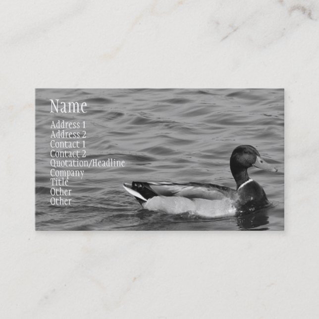 Carte De Visite Beau canard de Mallard (Devant)