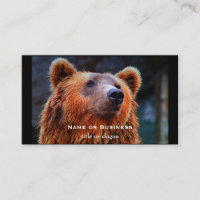 Beau Portrait d'ours Brown Faune Photo