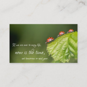 Carte De Visite Beautiful ladybugs with motivational quote