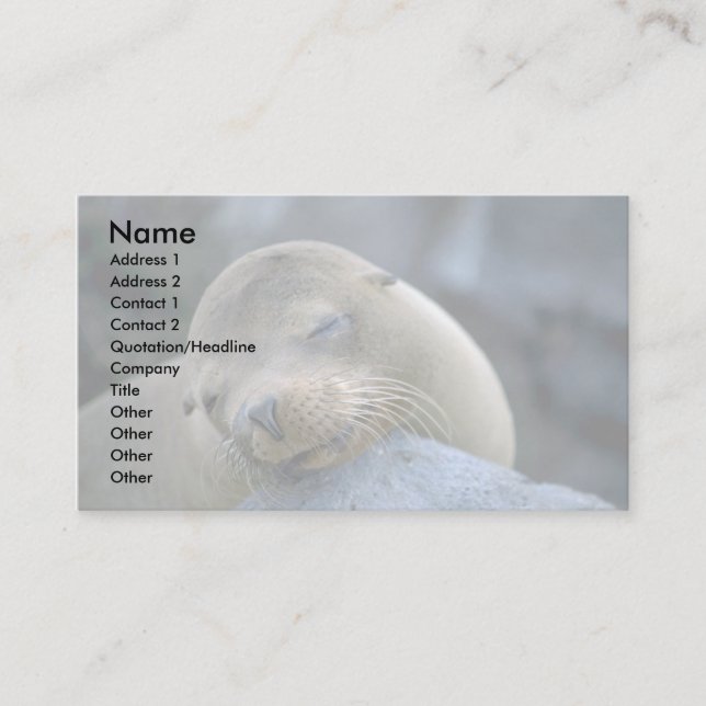 Carte De Visite Bébé lion de mer, îles Galapagos (Devant)