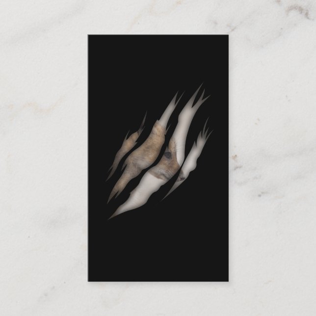 Carte De Visite Bébé mignon Fox Lover Torn Animal Torn (Devant)