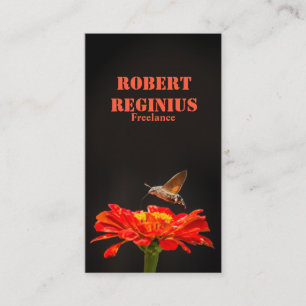 Carte De Visite Bécasseau à colibri