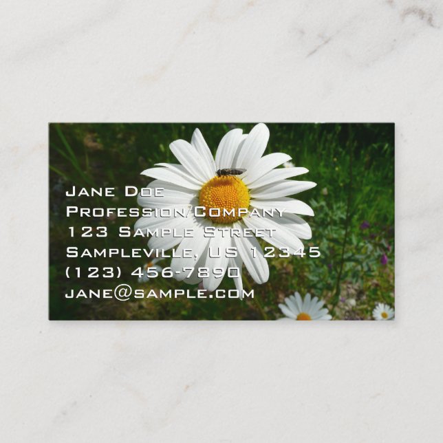 Carte De Visite Bee on Daisy Alaskan Summer Nature Photo (Devant)