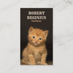 Carte De Visite Belle Chat