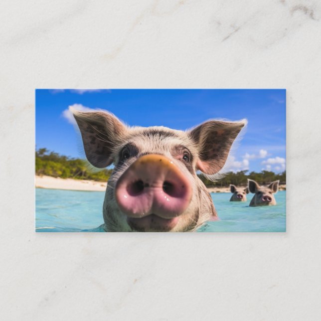 Carte De Visite Belle natation Cochon Exuma Bahamas (Devant)