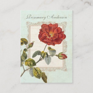 Carte De Visite Belle Rose rouge Vintage pour jardiner
