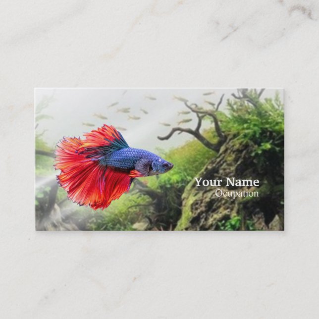 Carte De Visite Betta fish (Devant)