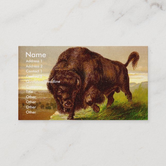 Carte De Visite Bison américain (Devant)