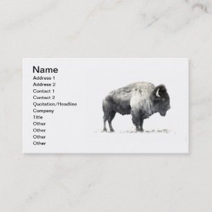 Carte De Visite Bison de plaines