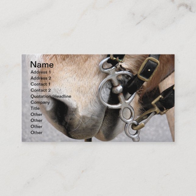 Carte De Visite Bit de conduite (Devant)