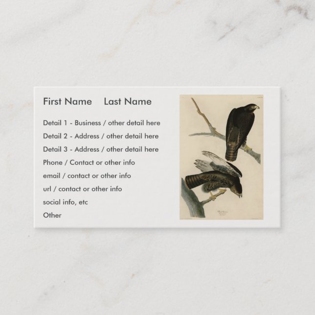 Carte De Visite Black Warrior (Buse à queue rouge) d'Audubon Birds (Devant)