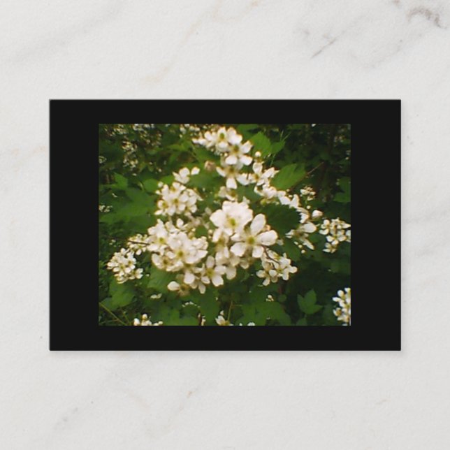 Carte De Visite Blackberry Blossom (Devant)