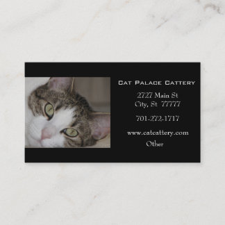 Carte de visite blanc de chat tigré