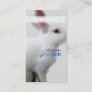 Carte de visite blanc de lapin
