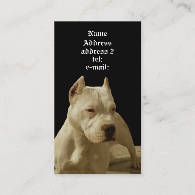 Carte de visite blanc de pitbull (Devant)