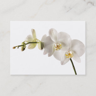 Carte De Visite Blanc floral de Dendrobium d'orchidée de jet blanc