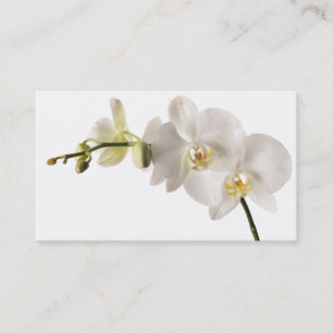 Carte De Visite Blanc floral de Dendrobium d'orchidée de jet blanc