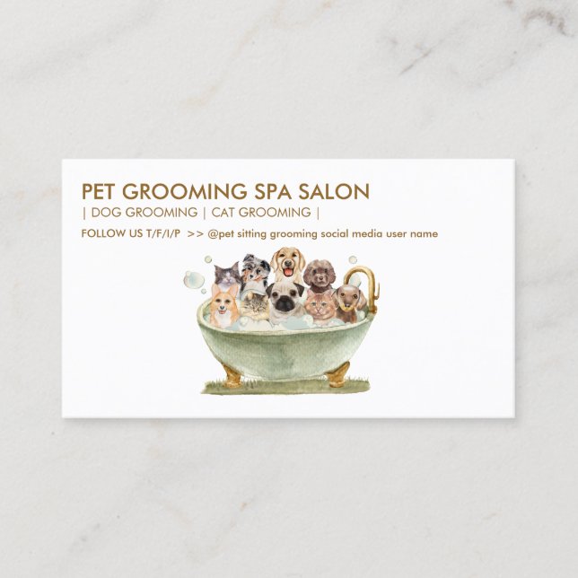 Carte De Visite Blanc Vert Grooming Animaux Spas Chats Chiens (Devant)