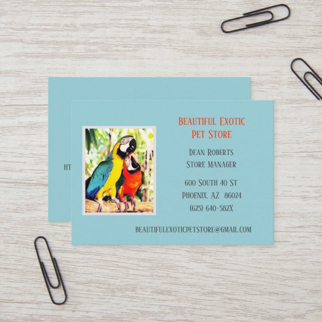 Carte De Visite Bleu clair Vétérinaire / Animaux Perroquets (Devant/Arrière en situation)
