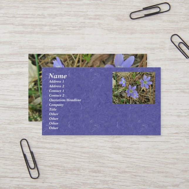Carte de visite bleu doux Hepatica (Devant/Arrière en situation)