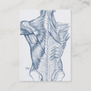 Carte De Visite Bleu Médicale vintage de muscles du dos de dessin
