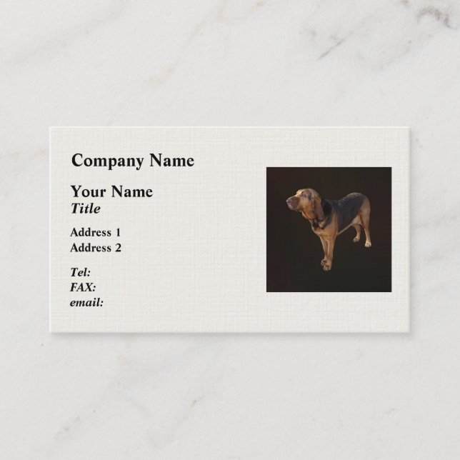 Carte De Visite Bloodhound (Devant)