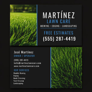 Carte De Visite Blue & Black Green Grass Lawn Service Aménagement