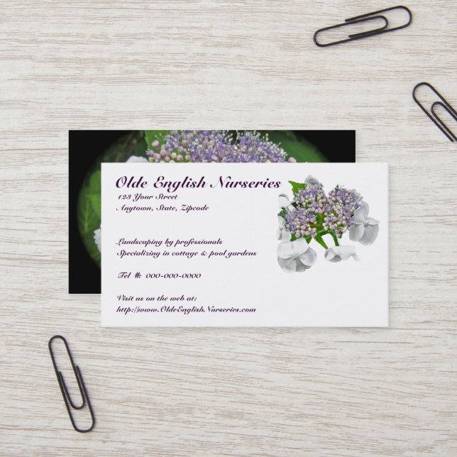 Carte de visite Blue Lace Hydrangea (Devant/Arrière en situation)
