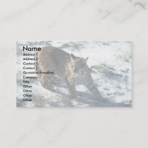 Carte De Visite Bobcat sur la neige