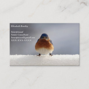 Carte de visite Bold Bluebird