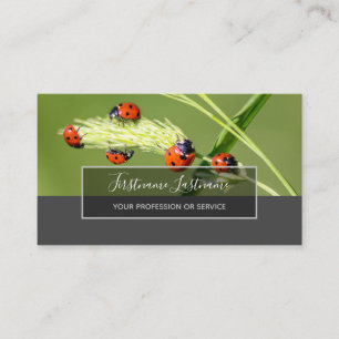 Carte De Visite Bonne chance coccinelles ponctuées rectangle gris 