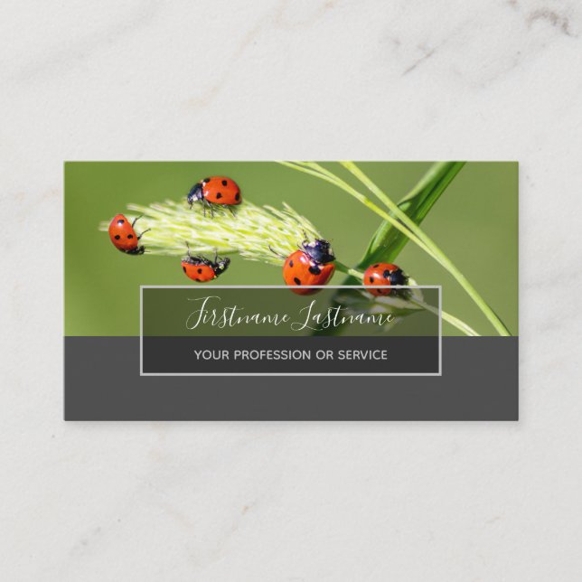 Carte De Visite Bonne chance coccinelles ponctuées rectangle gris  (Devant)