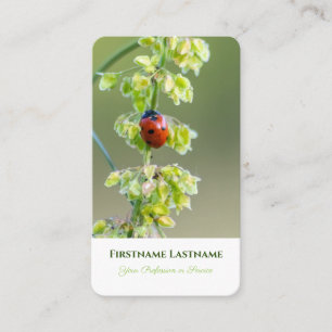 Carte De Visite Bonne chance ladybug coaching en santé mentale pos